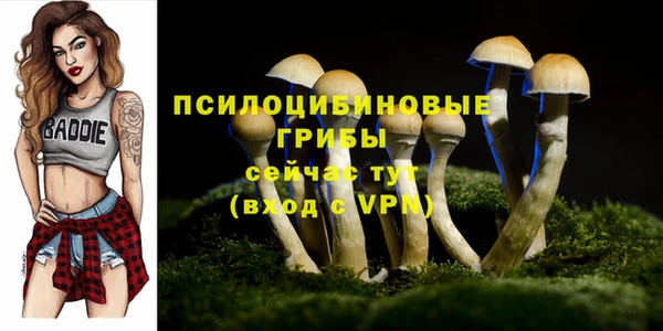 гидра Бугульма