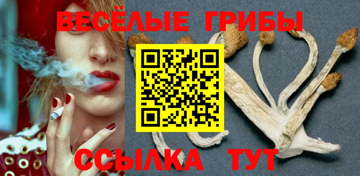 Галлюциногенные грибы Psilocybine cubensis  Вход с VPN  Галлюциногенные грибы Cubensis  Бузулук 