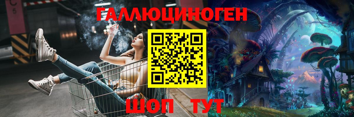 Галлюциногенные грибы Psilocybine cubensis Бузулук